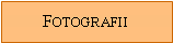 Text Box: Fotografii