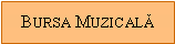 Text Box: Bursa Muzicală