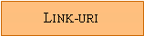 Text Box: Link-uri