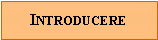 Text Box: Introducere